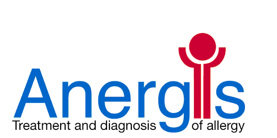Anergis logo